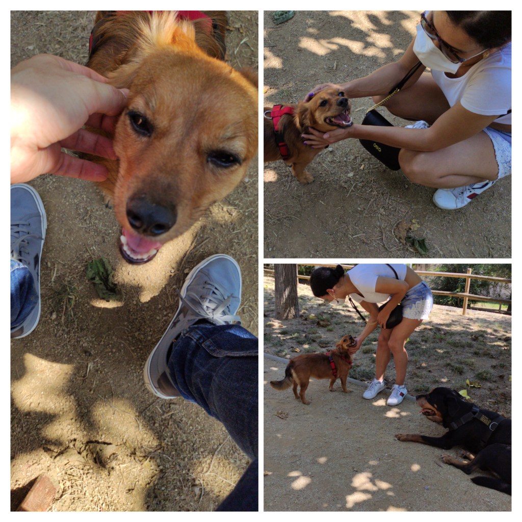 Un mosaic del dia en que Molly va conèixer la Helen i en Cristian. En sentit horari, Molly revent unes caricies a la galta per part de Cristian en contra-picat. Després dues fotos on Helen li acarona la cara i el coll.