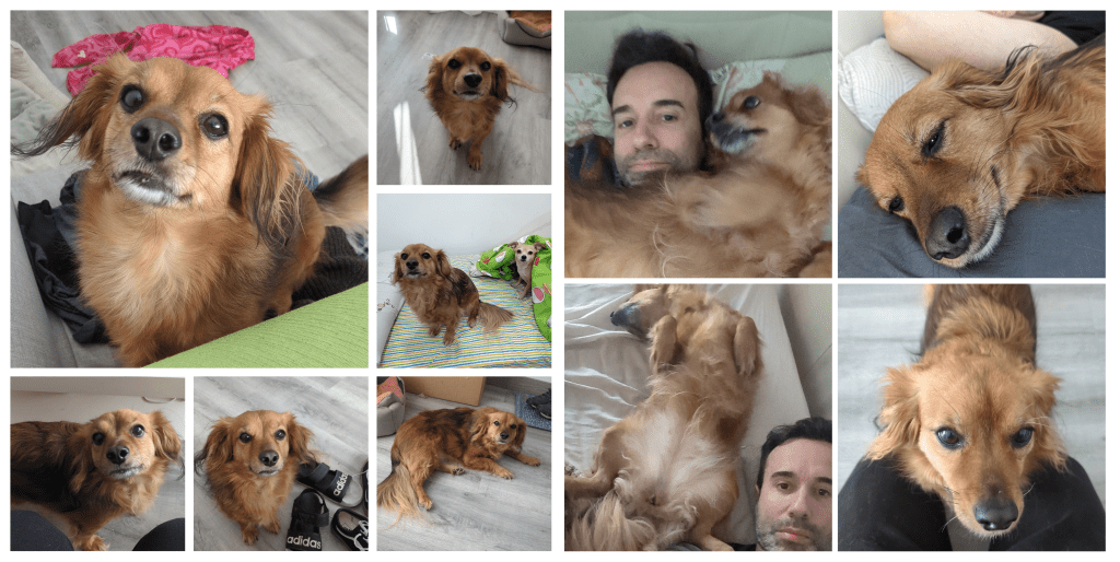 La història de la Molly