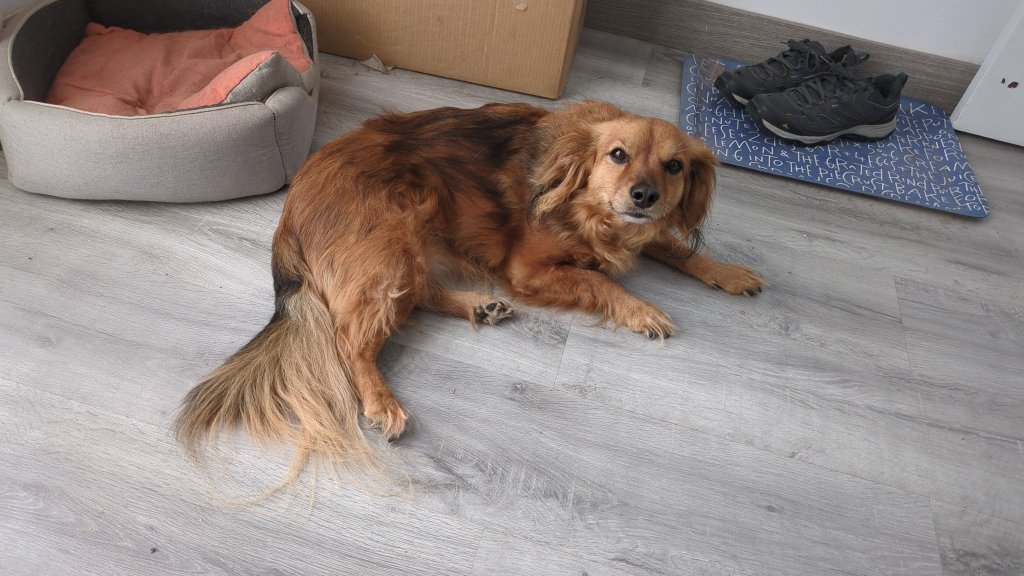 Fins que ens tornem a trobar,&nbsp;Molly