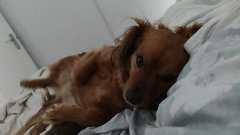 La Molly és al llit, mira la càmera. Es troba de costat, amb el cos lleugerament inclinat. S'intueix que ofereix el seu pit per rebre carícies.