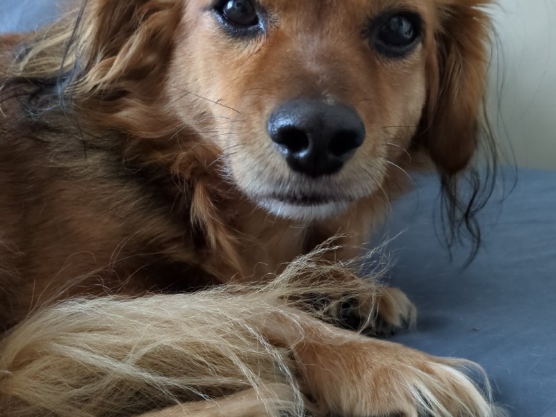 Dues setmanes sense&nbsp;tu